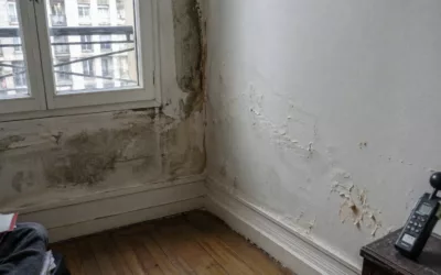 Expert humidité à Paris : diagnostic indépendant et rapport opposable