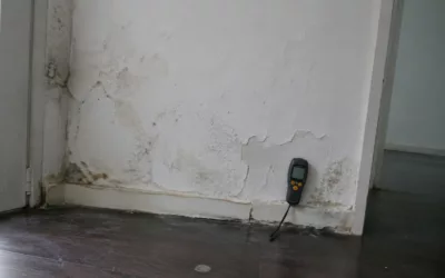 Diagnostic humidité mur : déroulé complet par un expert indépendant