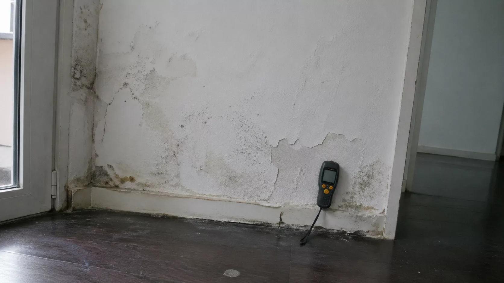 Photo réaliste Panasonic GH4 d’un diagnostic humidité mur intérieur avec traces de moisissures, peinture écaillée, plinthe abîmée et humidimètre posé au sol.