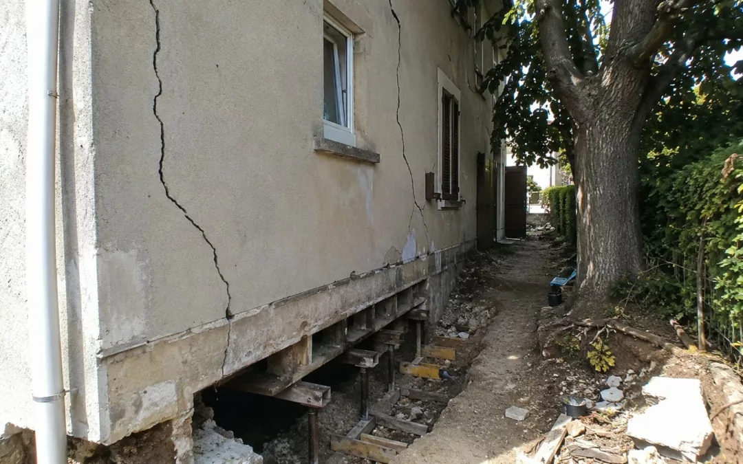 Fissures et arbre du voisin : responsabilité et reprise en sous-œuvre