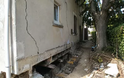 Fissures et arbre du voisin : responsabilité et reprise en sous-œuvre