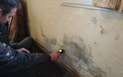 Humidité dans les murs, que faire : identifier la cause avant de traiter