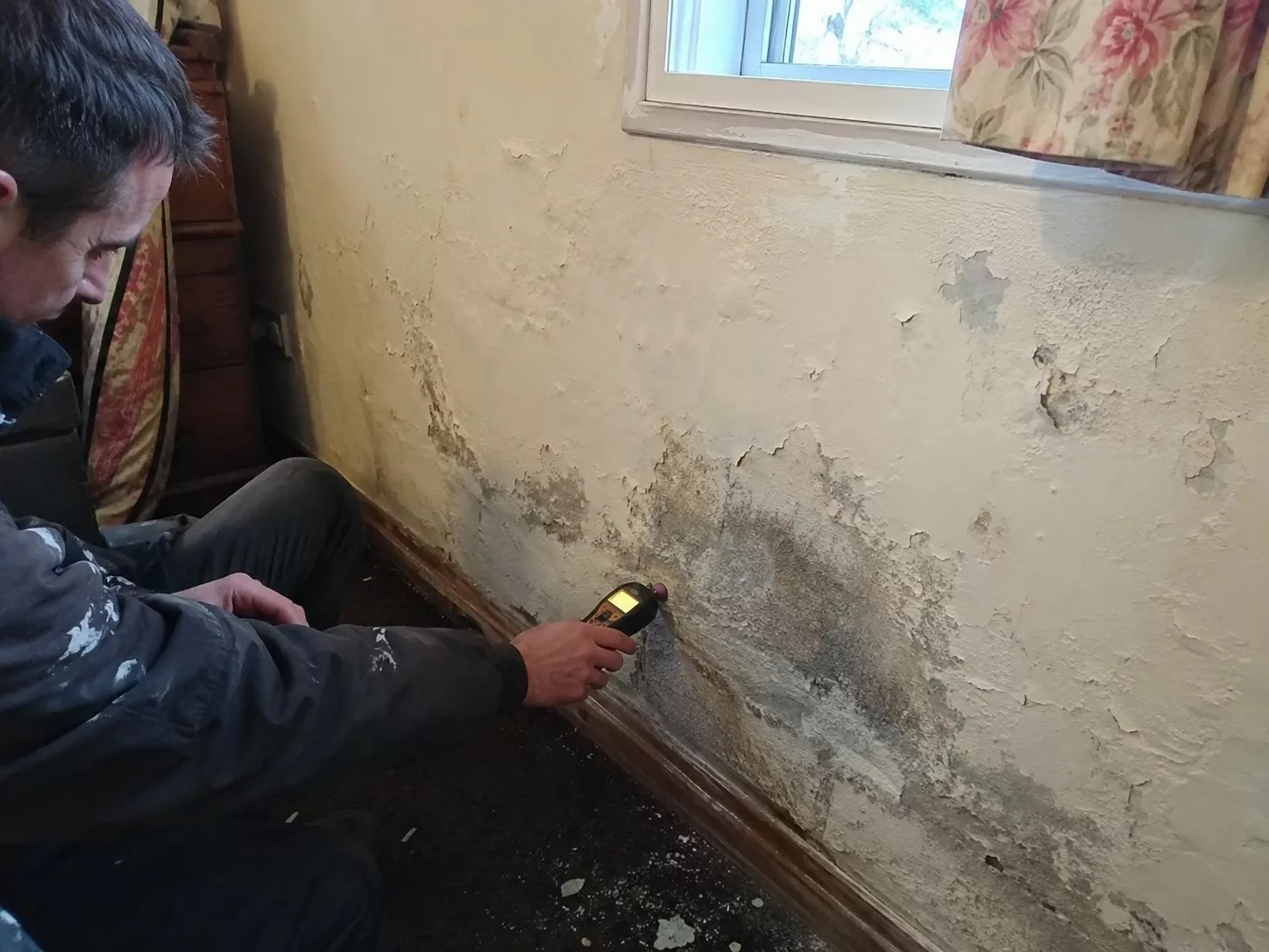 Mesure au humidimètre d'un mur intérieur présentant peinture cloquée et moisissures, contrôle du taux d'humidité avant traitement