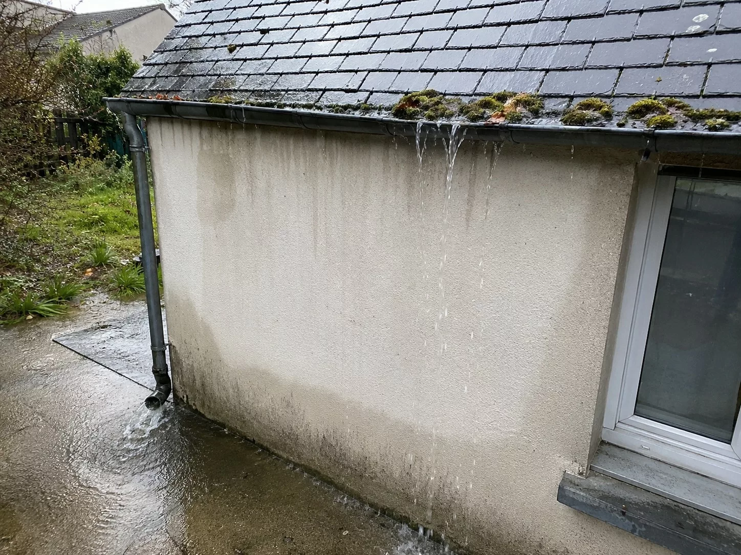 Gouttière bouchée par la mousse et les feuilles provoquant un débordement d'eau sur la façade d'une maison, mur humide et flaque au pied de façade, photographie d'inspection bâtiment. Score Expertises, expert bâtiment Paris et Île-de-France.