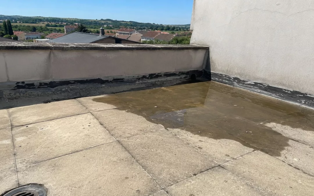 Infiltration toiture terrasse : origine, responsabilités, recours