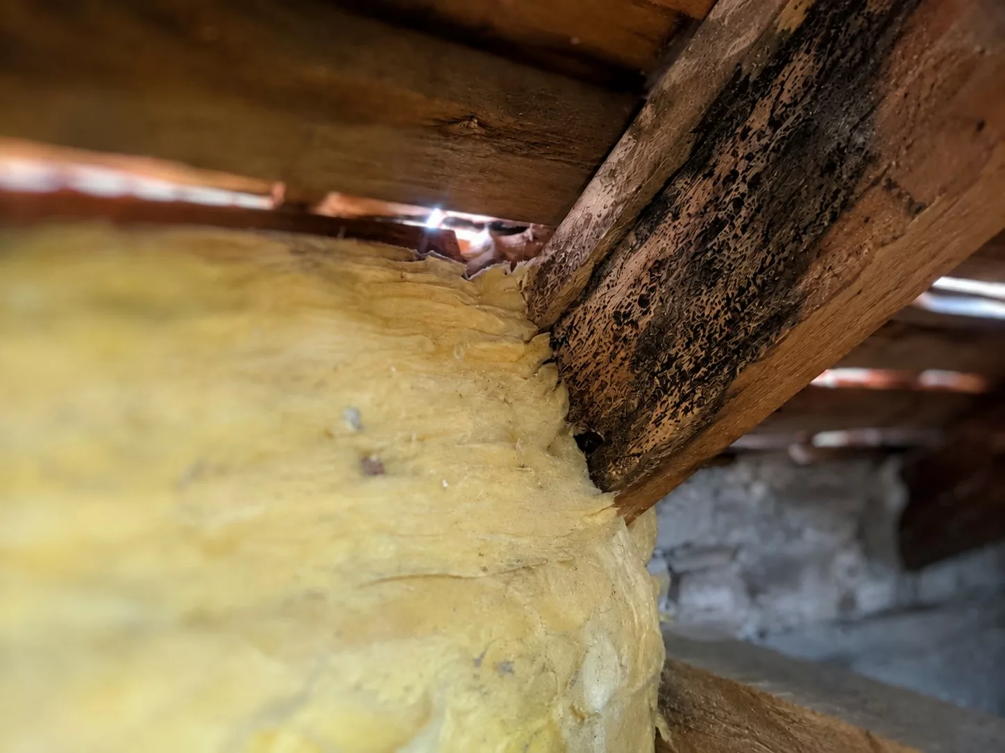 Combles sous toiture vus de près, laine de verre jaune comprimée contre la charpente sans lame d'air visible, chevron en bois noirci par les moisissures, filets de lumière entre les éléments de couverture
