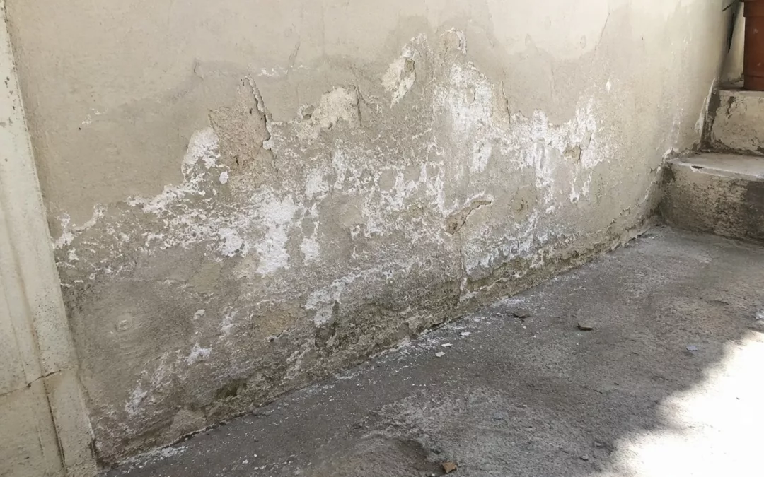 Salpêtre sur un mur : causes, vrais traitements et diagnostic
