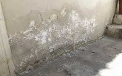 Salpêtre sur un mur : causes, vrais traitements et diagnostic