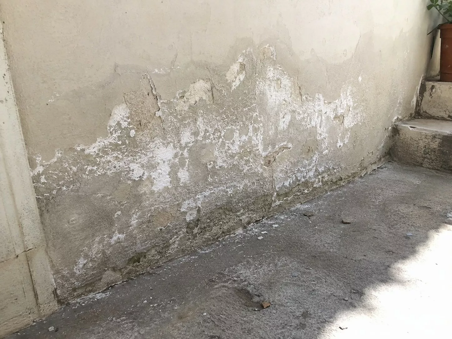 Mur ancien en enduit beige fortement dégradé, efflorescences blanches poudreuses de salpêtre concentrées en partie basse, peinture et plâtre écaillés, zones grisâtres marquées par l’humidité, dépôts salins irréguliers, gravats et poussière au sol en béton, escalier brut à droite, forte lumière naturelle ensoleillée, diagnostic de désordres liés à l’humidité du mur, 2026